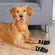 Calcetines Trixie Negro M/L Perro