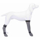 Calcetines Trixie Gris L Perro Calcetines Trixie Gris L Perro