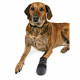 Botas Trixie Walker Care Negro XXL Botas Trixie Walker Care Negro XXL