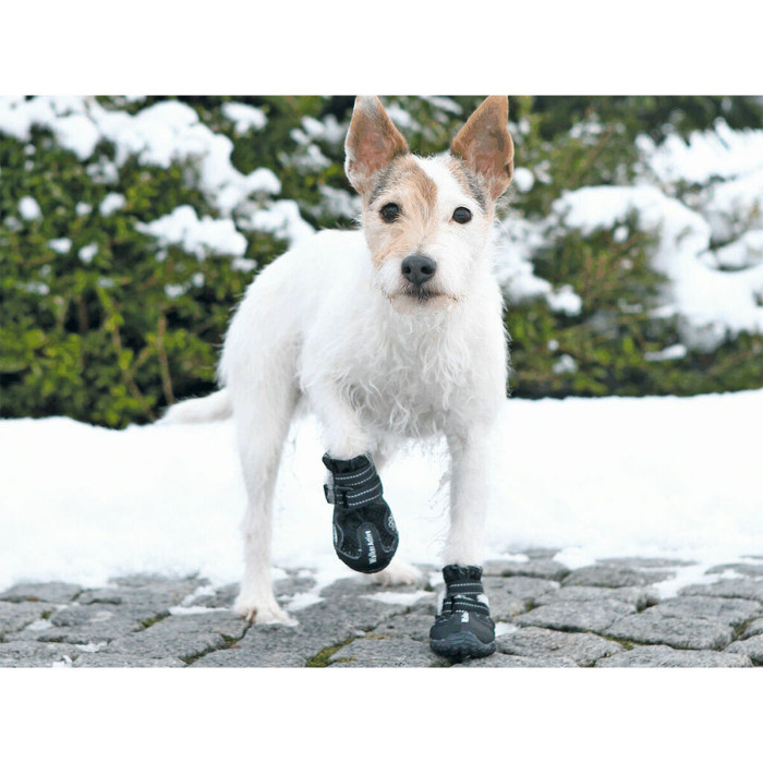 Botas Trixie Negro Botas Trixie Negro