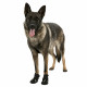 Botas Trixie 19465 Negro L Botas Trixie 19465 Negro L