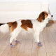Socks Trixie Grey L Dog Socks Trixie Grey L Dog