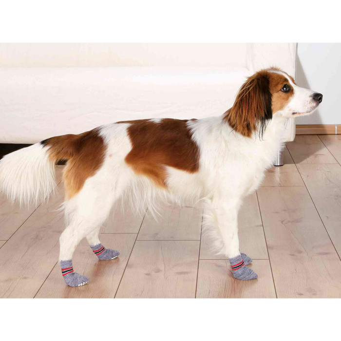 Socks Trixie Grey L Dog Socks Trixie Grey L Dog