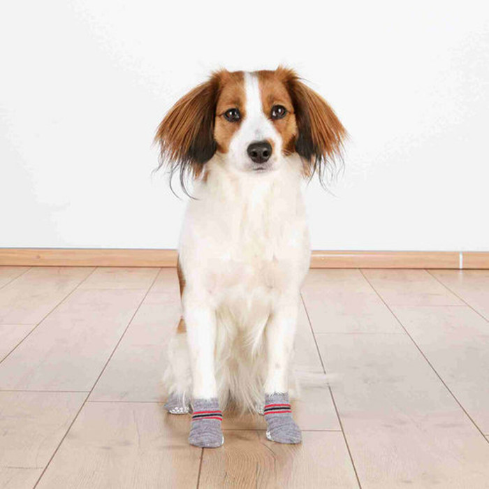 Socks Trixie Grey L Dog Socks Trixie Grey L Dog