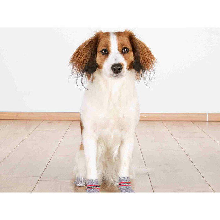 Socks Trixie Grey L Dog Socks Trixie Grey L Dog