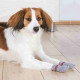 Socks Trixie Grey L Dog Socks Trixie Grey L Dog