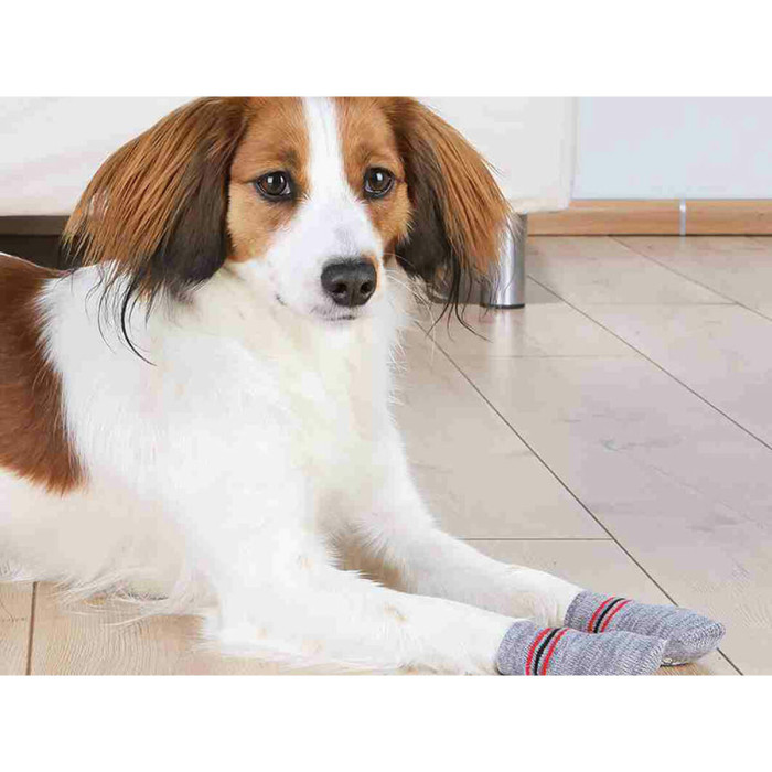 Socks Trixie Grey L Dog Socks Trixie Grey L Dog