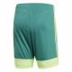 Men's Sports Shorts Adidas TASTIGO19 SHO Green