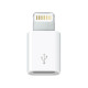 Adaptador Micro USB a Lightning Apple MD820ZM/A