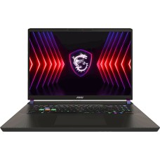 Laptop MSI Vector 17HX-234 17