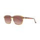 Gafas de Sol Hombre Hackett HSB86618752