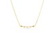 Ladies' Necklace Radiant RY000003 35 cm