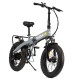 Electric Bike Nilox Grey 250 W 20