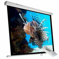 Pantalla de Proyección Phoenix ELEC240 135