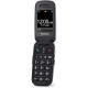 Teléfono Móvil para Mayores Panasonic KX-TU446EXB 2,4