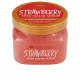 Body Exfoliator Tree Hut   Strawberry Sugar 510 g