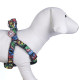 Dog Harness Marvel XXS/XS Black