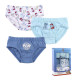 Pack de Calzoncillos The Paw Patrol Multicolor