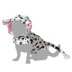 Dog Costume M Cow