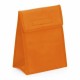 Cool Bag 144111 Non woven (25 Units)