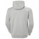 Sudadera con Capucha Hombre HH LOGO Helly Hansen 33977 949 Gris