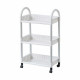 Carrito Verdulero Confortime Aluminio Plástico 45 x 25 x 77 cm (3 Unidades)