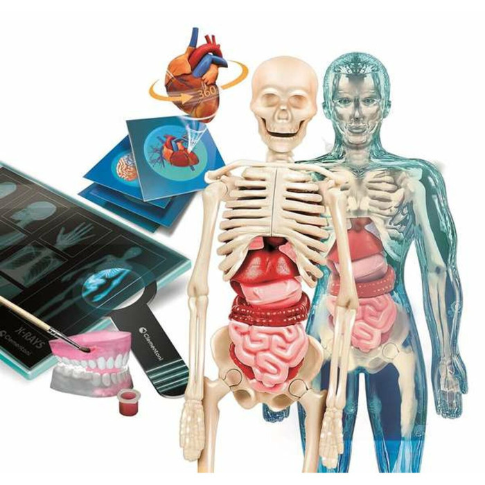 Juego de Ciencia Clementoni Superanatomía (ES) Juego de Ciencia Clementoni Superanatomía (ES)