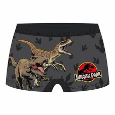 Boys Swim Shorts Jurassic Park