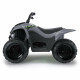 Quad Eléctrico Injusa Kawasaki Gris 90,5 x 56 x 61,3 cm