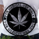Costume for Adults My Other Me Marijuana One size
