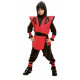 Costume for Children My Other Me Ninja Dragon 6 Pieces