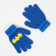 Bolsa Nevera Batman