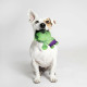 Dog toy The Avengers