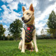 Arnés para Perro Marvel Reversible