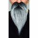 Barba postiza My Other Me Gris