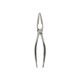 Seafood Tongs Koala Eco Friendly Steel Metal 20 x 4 x 1 cm