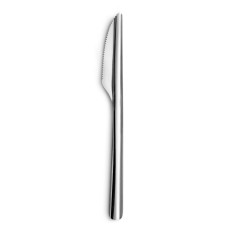 Set de Cuchillos Amefa Ecologic Slim Metal Acero (12 Unidades)