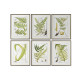 Cuadro Home ESPRIT Moderno Helecho 50 x 2,5 x 65 cm (6 Unidades)
