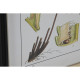 Cuadro Home ESPRIT Moderno Helecho 50 x 2,5 x 65 cm (6 Unidades)