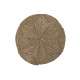 Alfombra DKD Home Decor Natural (120 x 1 x 120 cm)