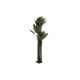 Árbol DKD Home Decor Palmera Polipropileno 100 x 100 x 250 cm