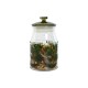 3 Tubs Home ESPRIT Green Crystal 1,2 L 3 Pieces