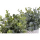 Decorative Plant DKD Home Decor Vase Green Resin PE (10,5 x 10,5 x 24 cm) (2 Units)