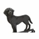 Bell DKD Home Decor Cat Dog Brown Dark brown Rope Iron 14 x 15 x 24 cm (2 Units)