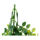 Planta Decorativa DKD Home Decor Verde Polietileno Hierro (18 x 18 x 101 cm)