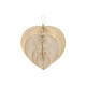 Wall Decoration Home ESPRIT Light brown Natural Fan Tropical (4 Pieces)