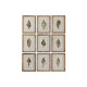 Painting Home ESPRIT Mediterranean Snail 30 x 2,5 x 40 cm (9Units)