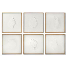 Cuadro DKD Home Decor Conchas 50 x 2 x 50 cm Mediterráneo (6 Piezas)