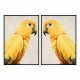 Cuadro DKD Home Decor Loro Tropical (103 x 4,2 x 143 cm) (2 Unidades)
