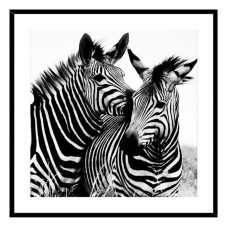 Cuadro Zebra Cristal (2 x 50 x 50 cm)